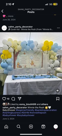 Party decorator Budet Friendly