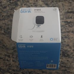 Blink Mini
