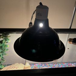 Reptile Heat Lamp