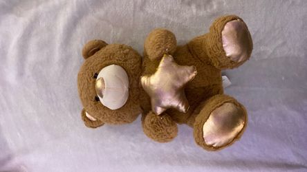 Rose gold star bear