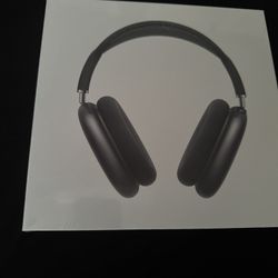 Air Pod’s Max