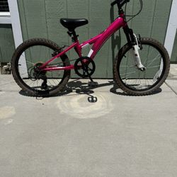 Diamondback Tess 20” Bike For Kids