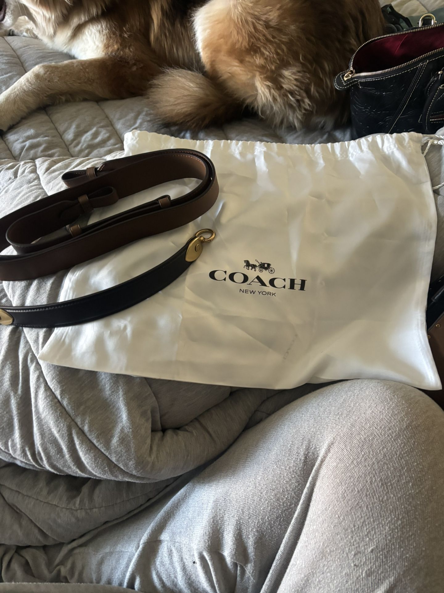 Coach purse and Wallet