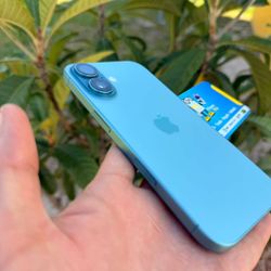 iPhone 16