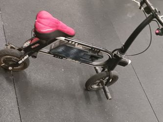 envy electric bike