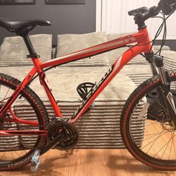 Specialized mountain Bike 