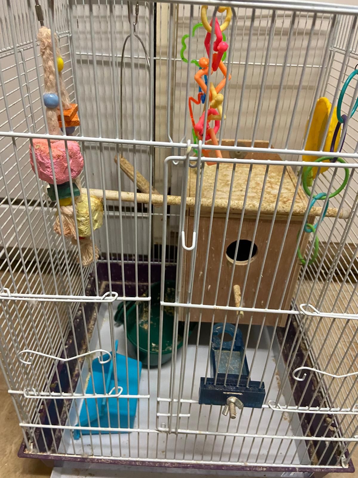 Cage With All Accessory