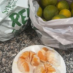 Free Sweet Tangerine 