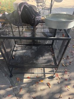 Critter nation cage