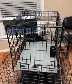 Small Dog Crate, 24" Folding Wire Crate