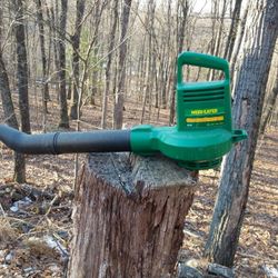 Electric Leaf blower 