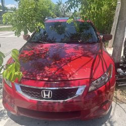 2010 Honda Accord