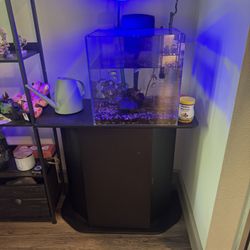 Fish Tank
