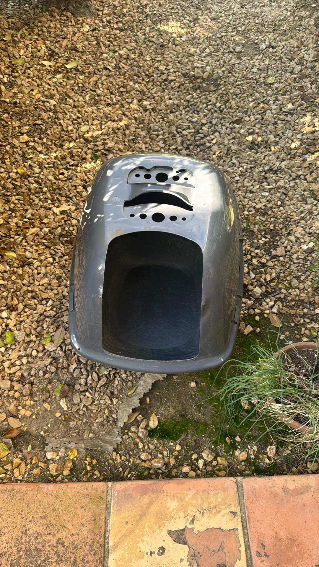 FREE - Large Cat Litter Box With Lid - Used *needs washing