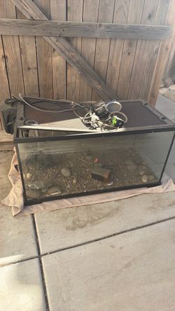 Fish tank with everything and extra