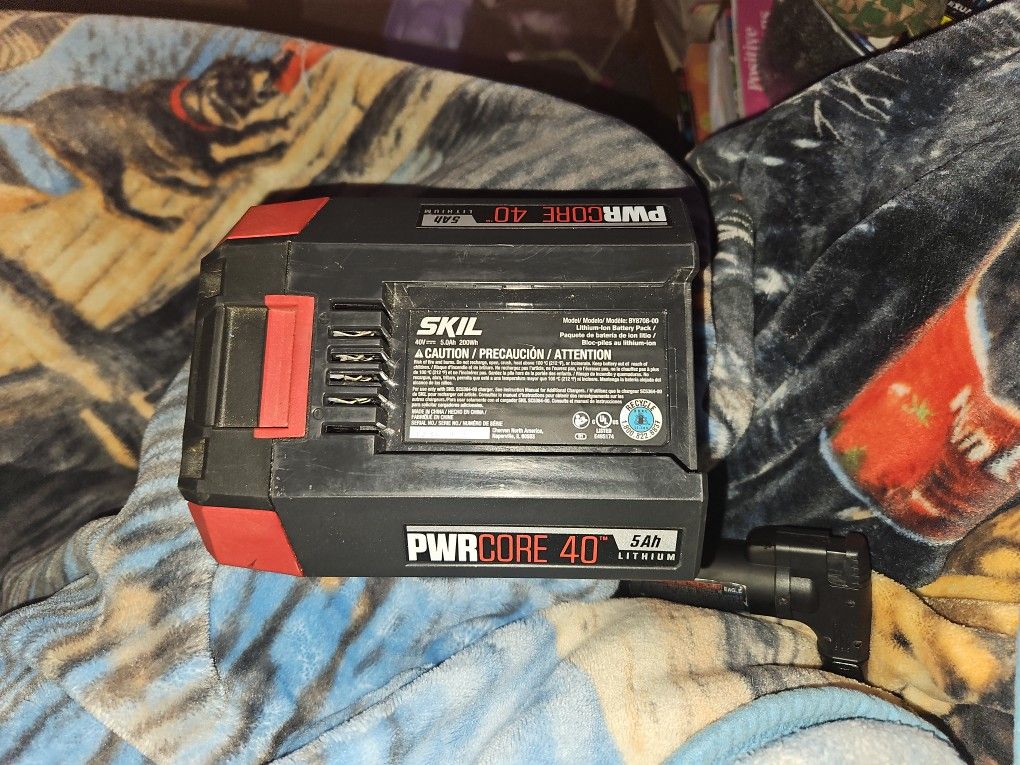 Skil Pwrcore 40 V 6.0Ah Lithium Battery