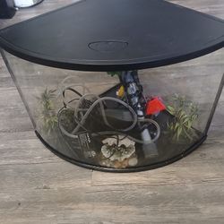 Great Price Corner Fish Tank 