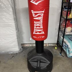 Everlast Punching Bag 