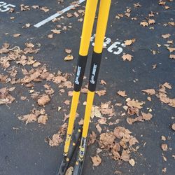 Floor Cleaning Squeegee