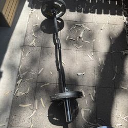 Curl-Bar + 50LB Golds Gym