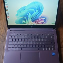 Pink HP 14 Inch Laptop Intel Quad Core 8 GB RAM HD LCD Webcam HDMI USB C Thunderbolt Port Wi-Fi & Bluetooth Wireless Windows 11 