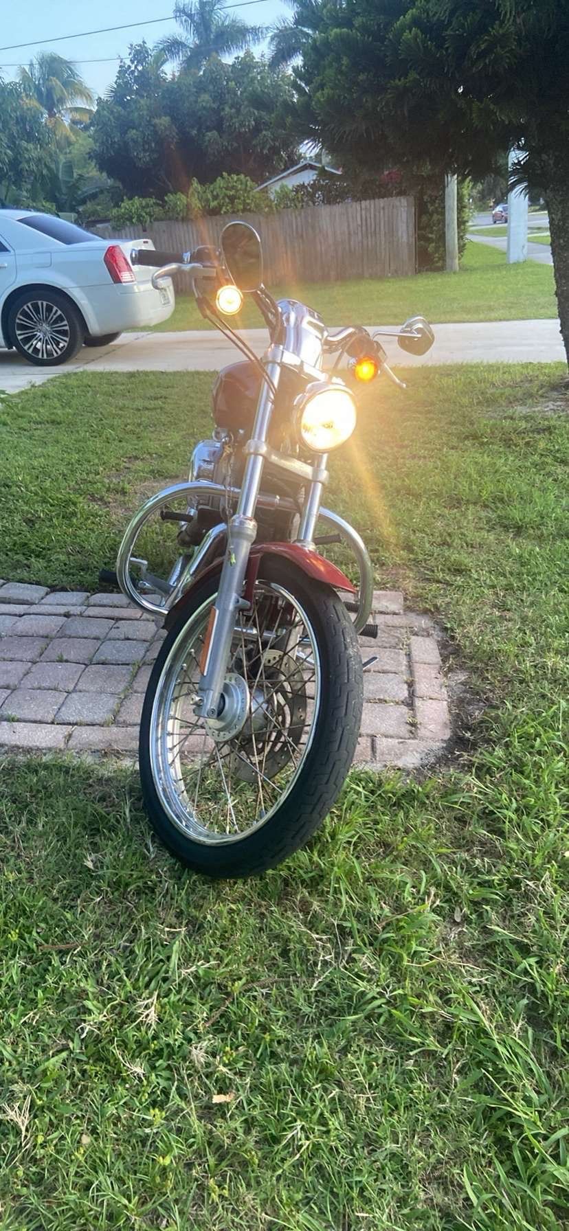 Harley Davidson Bike 