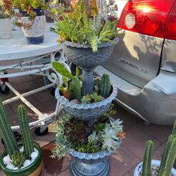 Tall Gorgeous 3 Tier Beautiful Mix Succulents Plants Flowers Cactus 🌵 In Pot Home Patio Yard Garden Decoration Design Landscape 