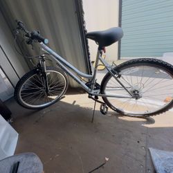 ROADMASTER MOUNTAIN BIKE