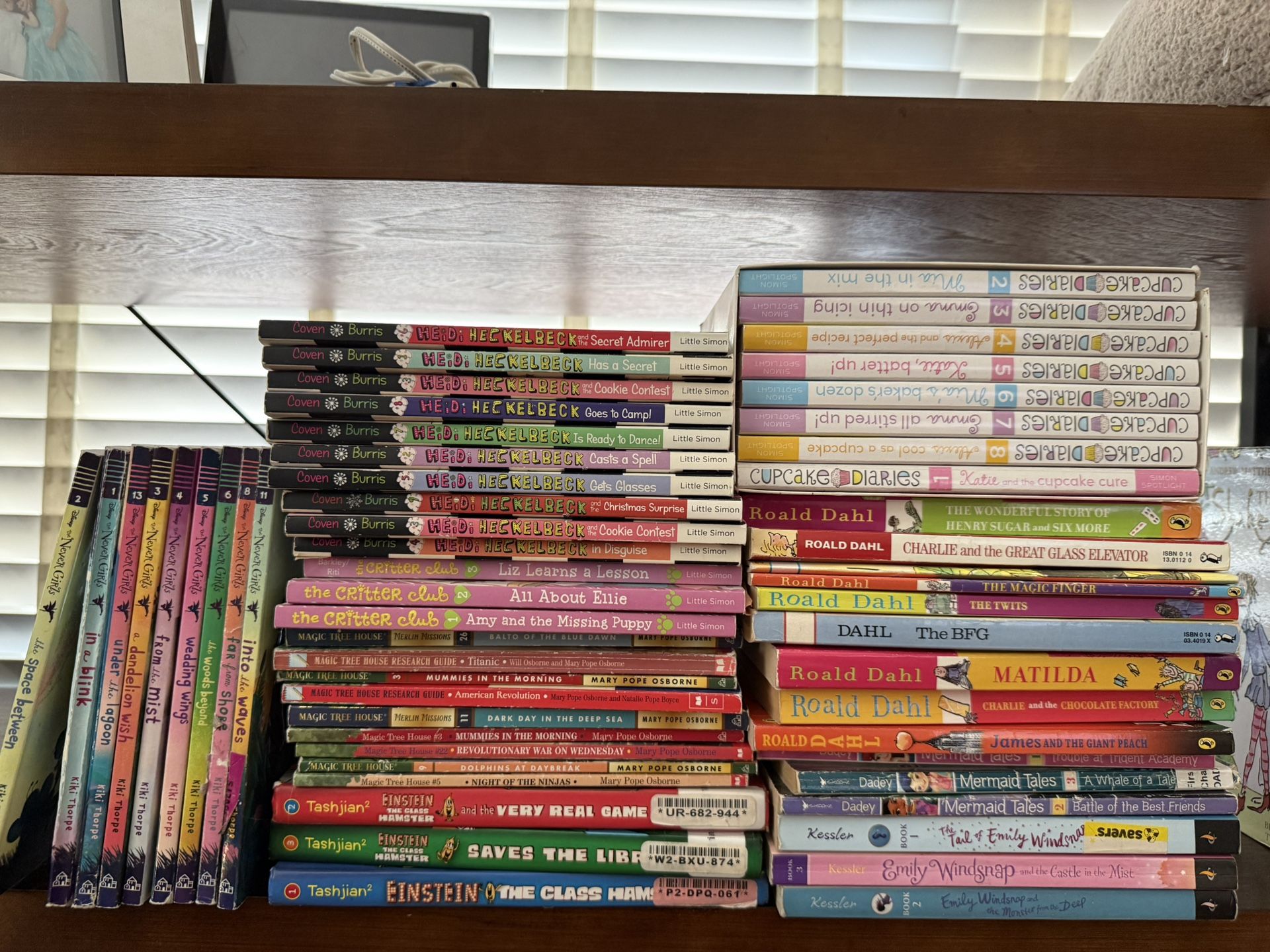 Kids Books Lot (56)