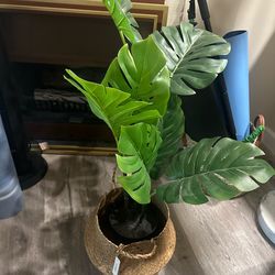 Faux plant with basket PICK UP ONLY