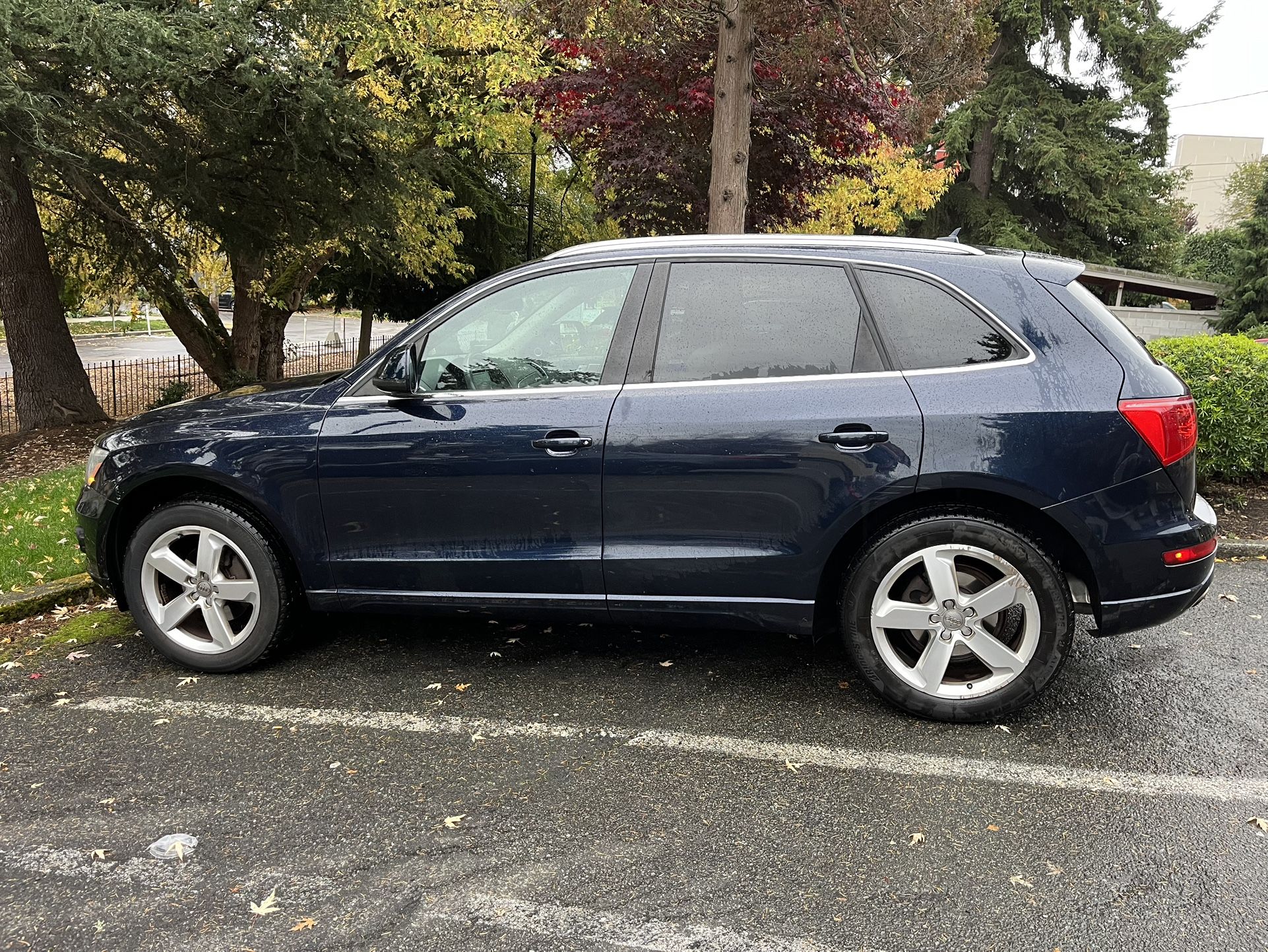 2010 Audi Q5