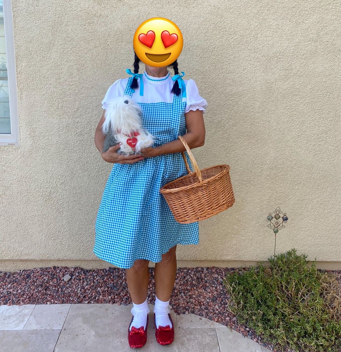 Halloween costume Dorothy from Wizard of Oz. 