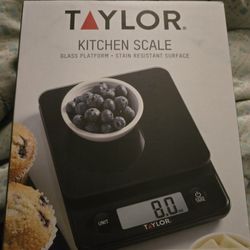 Kitchen Scale Taylor