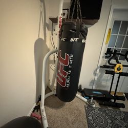 Century Heavy Bag And Speed Bag Stand + Heavy Bag