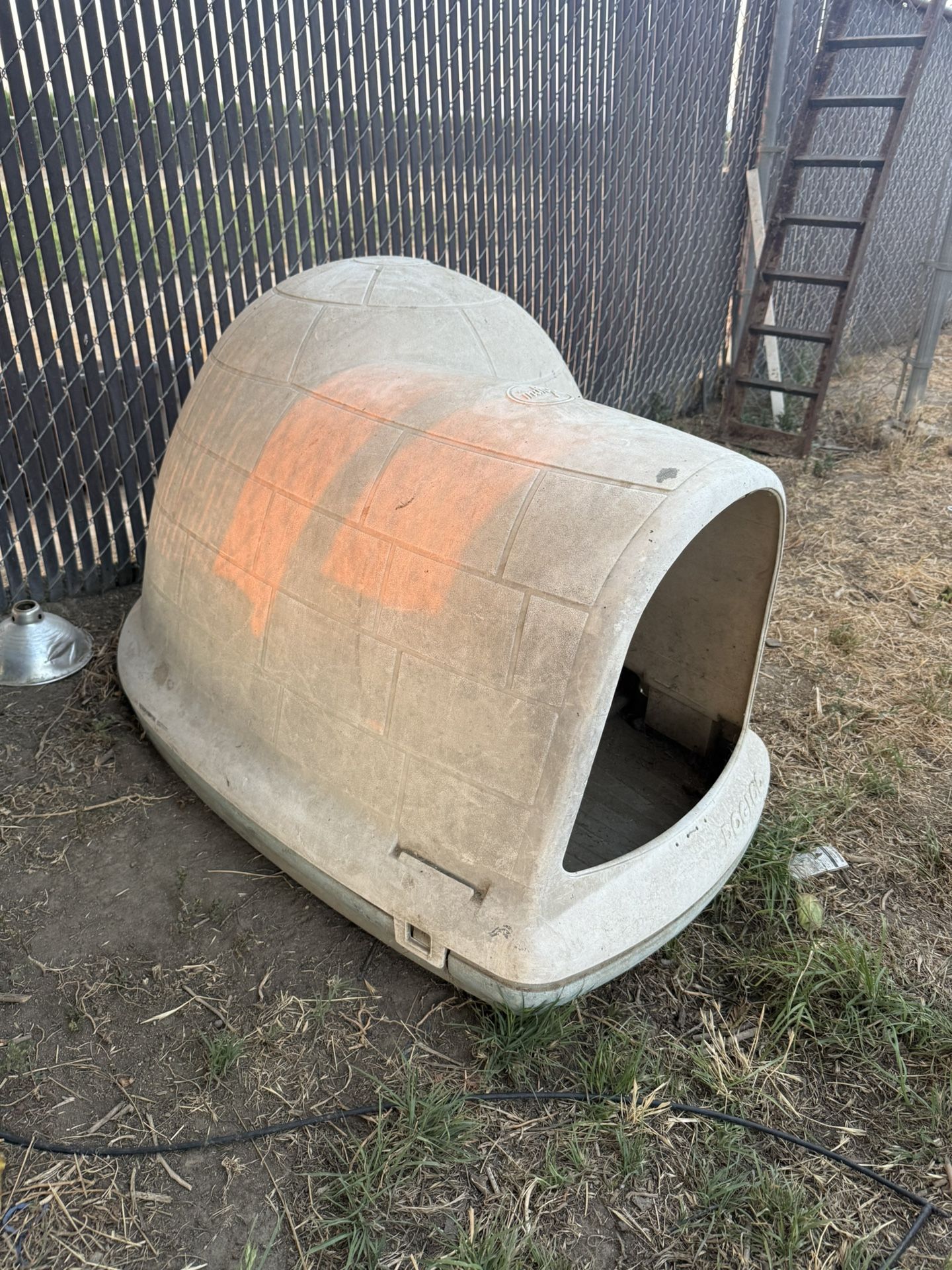 Dog Igloo / Dog House