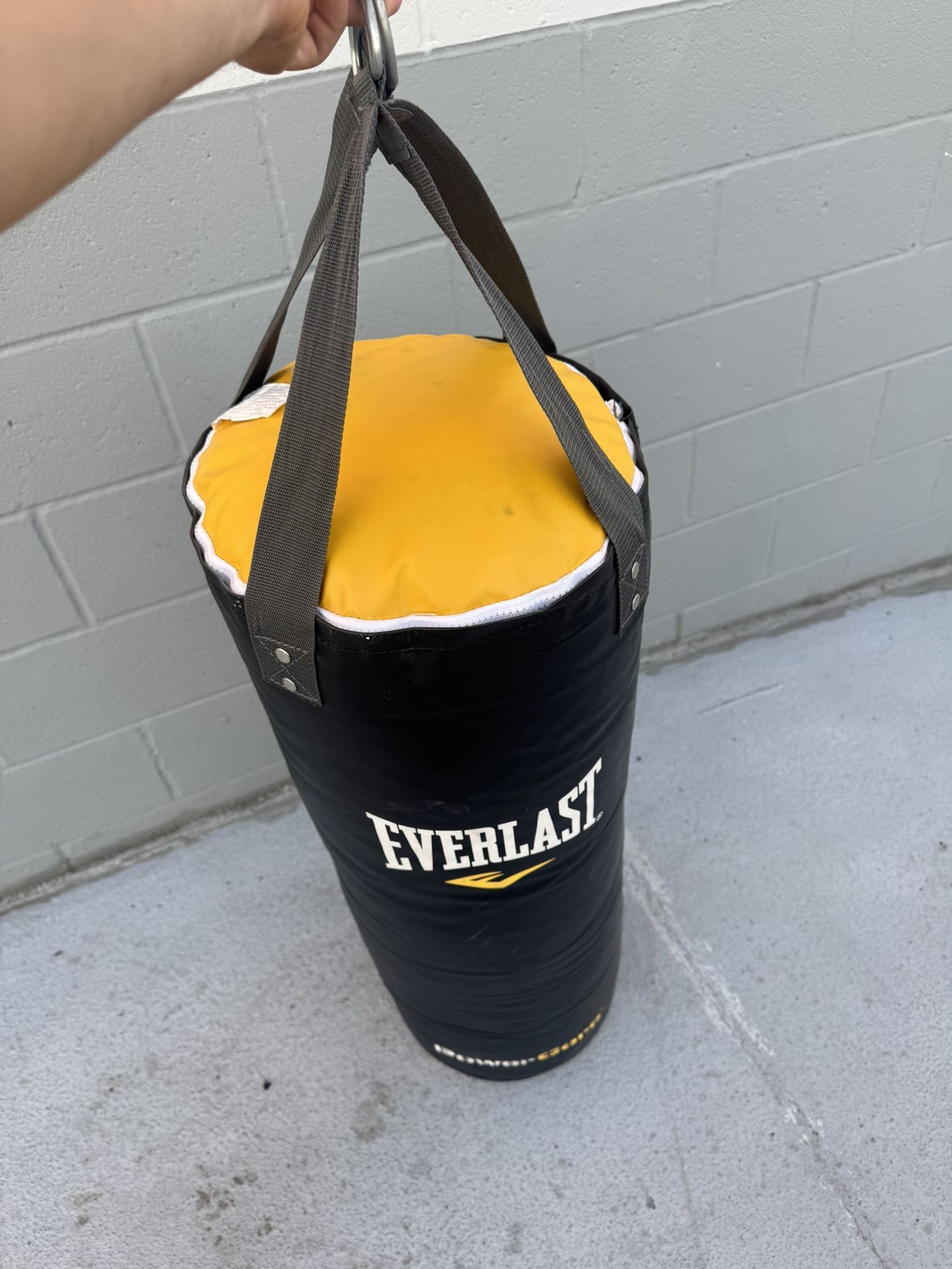 Everlast punching bag