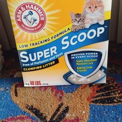 Two 40-pound boxes of cat litter