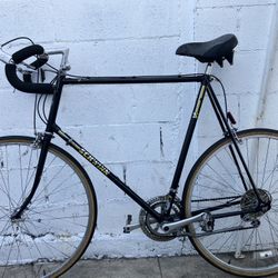 66. Cm. Schwinn World. Road Bike  12 Speed 