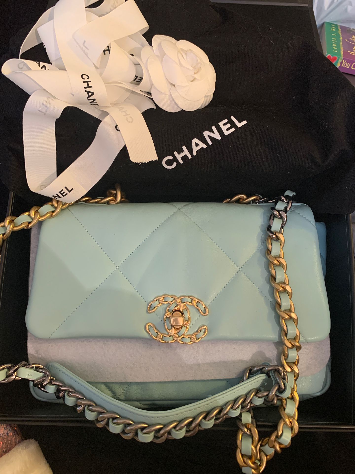 Original Chanel 19 handbag 2019 mint