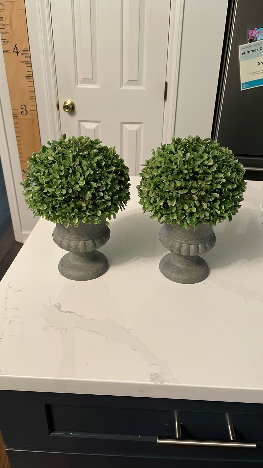 Artificial Boxwood In Vases
