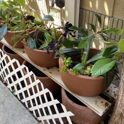 Concrete Flower Pots 14” Tall 19” Wide