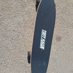 Tony Hawk Sufer Board