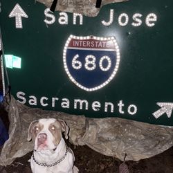 5’ X 7’ Freeway Sign 