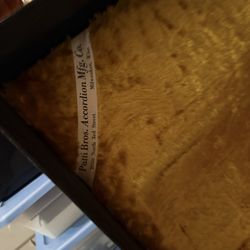 Accordion from Italy