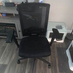 Adjustable Office Chair