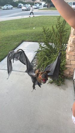 Halloween bat