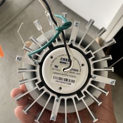 Cree True White Technology Light Bulb
