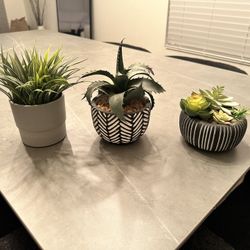 Decorative Fake plants (small) 