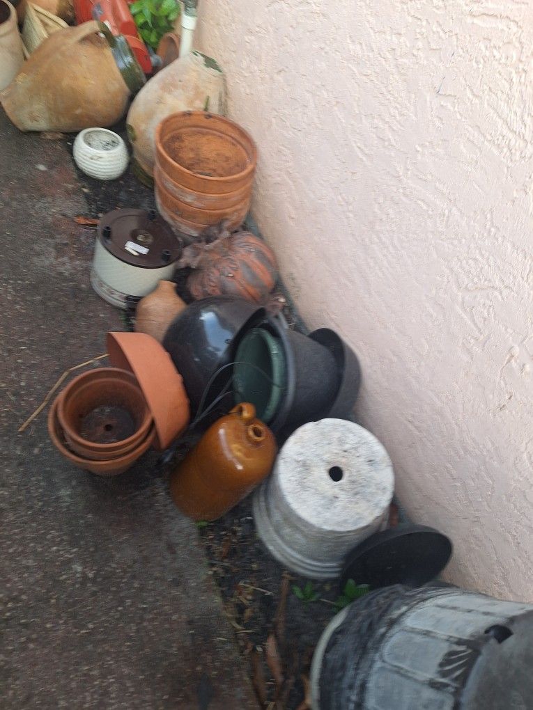 Small Clay Pots, Small, Medium , Large Plastic Pots $1-5. Plus Plants