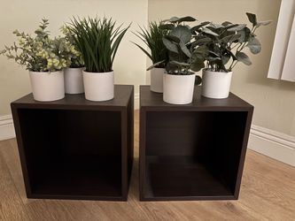 Set of 6 Artificial Plants + Dark Wood Cube Shelves